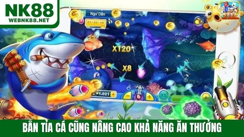 Bắn tỉa cá cũng nâng cao khả năng ăn thưởng