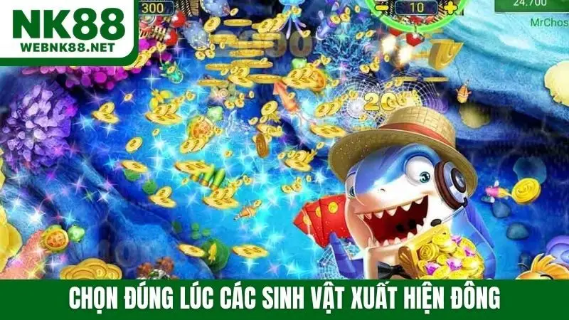 Chọn đúng lúc các sinh vật xuất hiện đông
