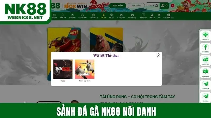 Sảnh đá gà NK88 nổi danh